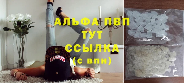 прущие грибы Абаза