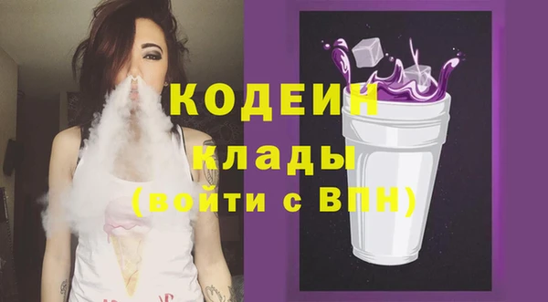 прущие грибы Абаза