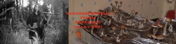 прущая мука Абдулино