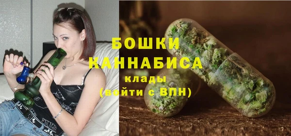 прущие грибы Абаза