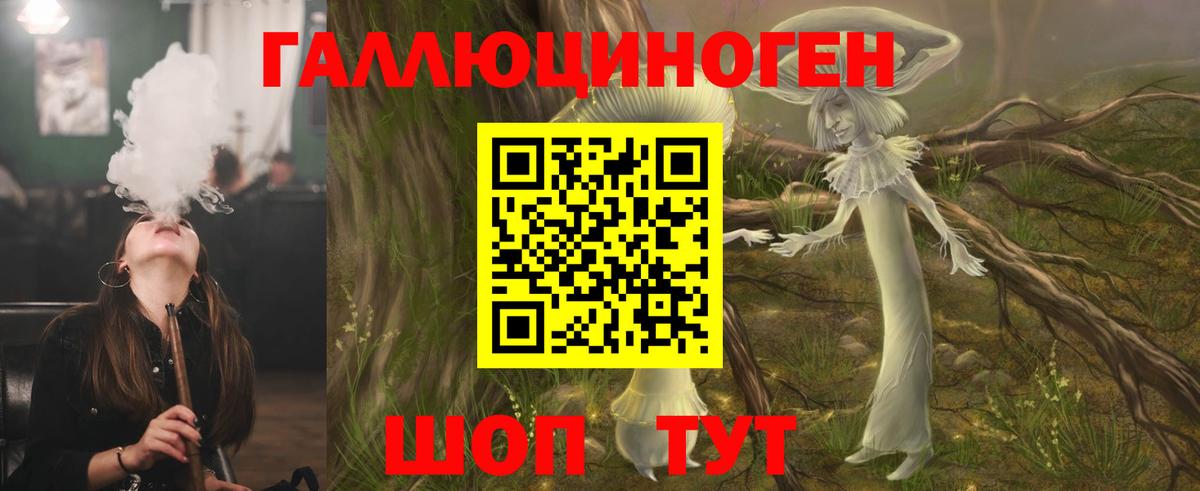 хочу   Вход с VPN  Новочеркасск  Галлюциногенные грибы Psilocybe 