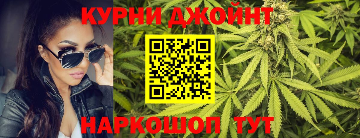 Шишки марихуана сатива Новочеркасск